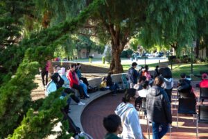 Photo-Nov-19-2022-3-41-06-PM